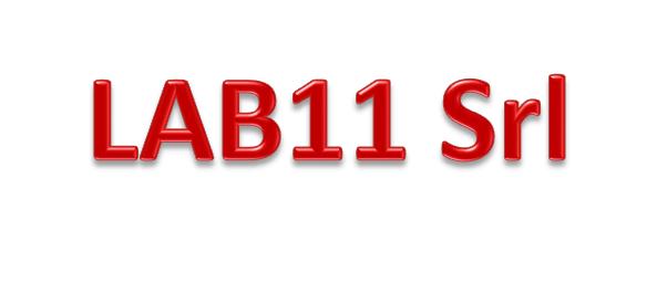Image for lab11_logo.png