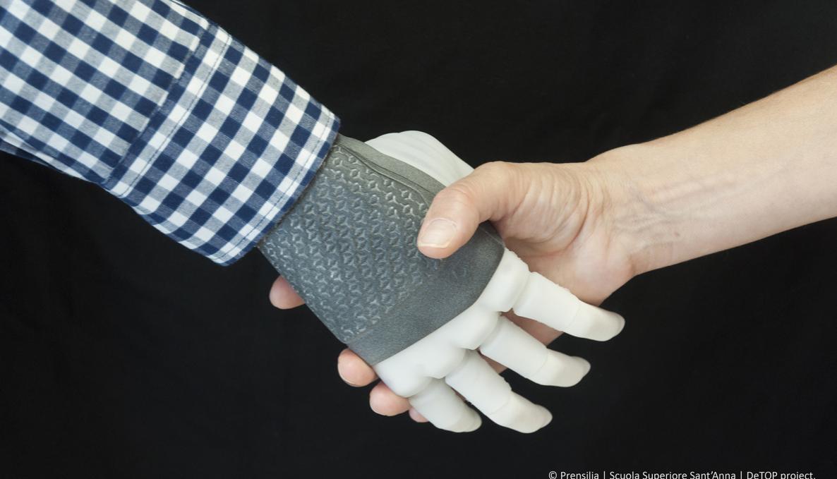 Image for hand_prosthesis_-_photo_2.jpg