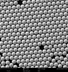 Microparticles' monolayer - SEM