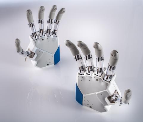 Image for Azzurra_01-Artificial Hands.jpg