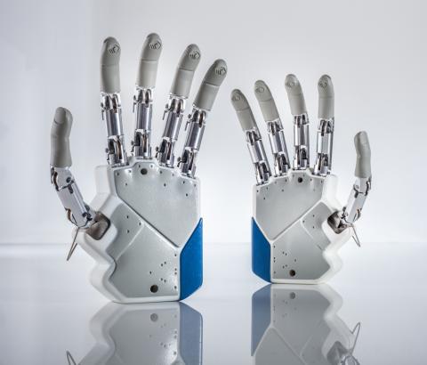 Image for artificial_hands_area_-_mano_robotica_azzurra_-_istituto_biorobotica_scuola_superiore_santanna.jpg
