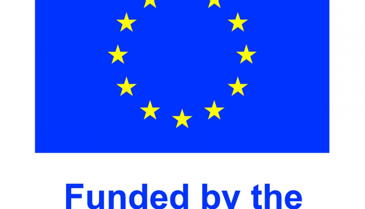 Image for en_v_funded_by_the_eu_pos.jpg